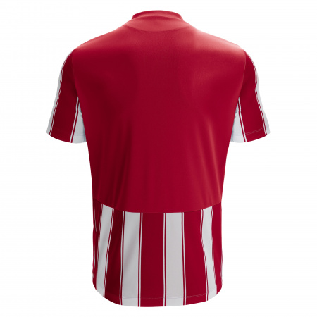 Футболка спортивная MACRON SCEPTRUM SHIRT RED/WHITE