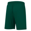 Шорты спортивные MACRON GALAX SHORT BOTTLE GREEN