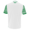 Футболка спортивная MACRON TUREIS ECO SHIRT WHITE/GREEN